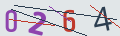verifycode